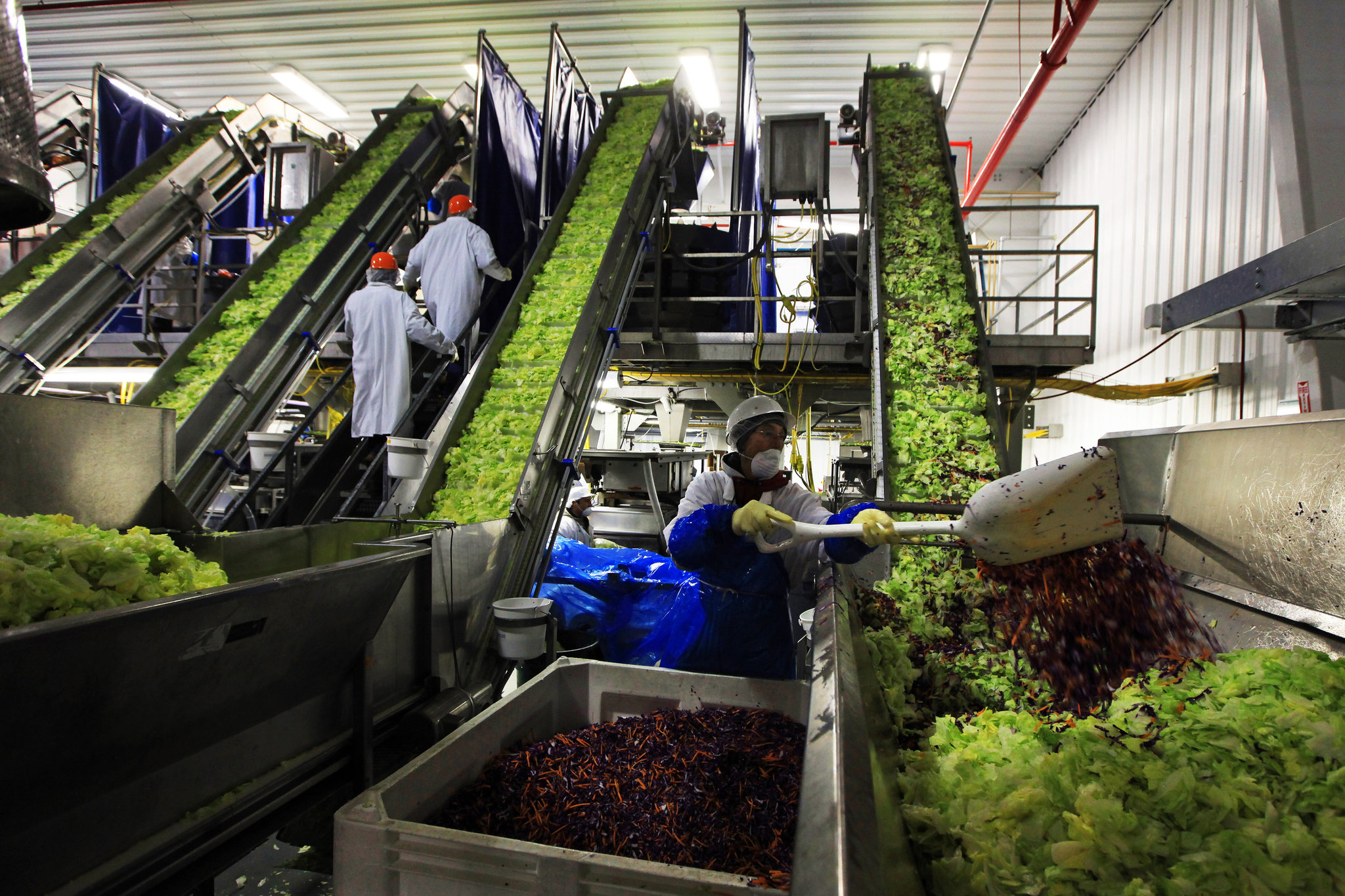 Food-Industries